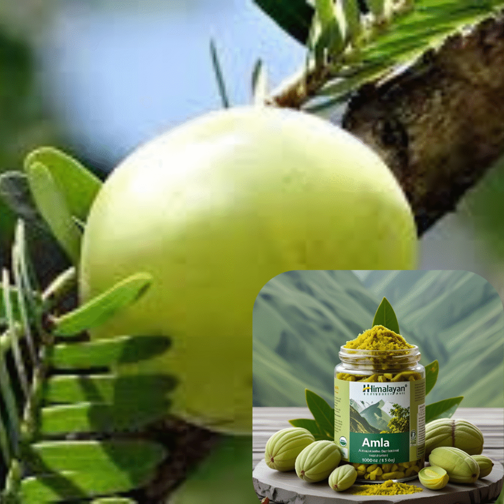 Mitolyn official buy online – 100% authentic product 4